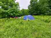 Wild camping in the tall grass (added by manager 14 Jun 2023)