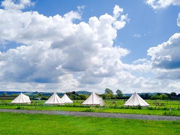 View over Glamping field (added by manager 16 Aug 2022)