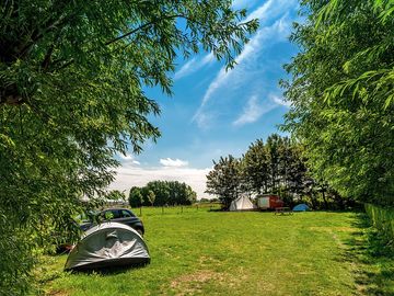 Grass tent pitches (added by manager 09 Jun 2018)