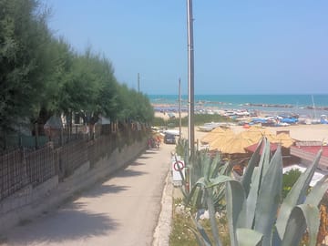 The beach (added by manager 05 May 2016)