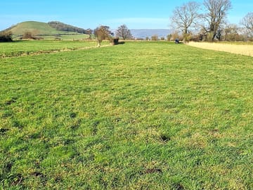 Flat meadow pitches (added by manager 31 May 2022)