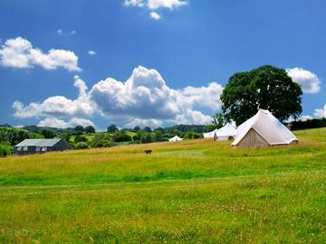 Overall Campsite - stunning location showing all 4 tents and the communal area (added by manager 28 Jul 2022)