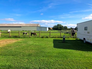 Working equestrian yard (added by manager 22 Sep 2021)