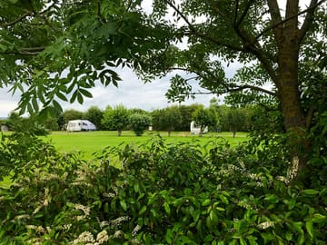 Lots of green (added by manager 17 Jun 2019)