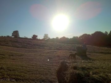 The Hay Field as the sun sets