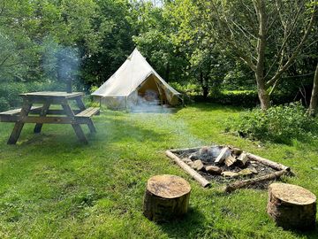 Peaceful bell tent pitch among the trees