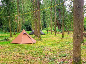 Places to pitch amid trees