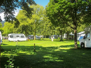 Spacious pitches shaded by trees