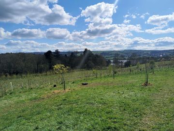 Views of Blagdon Lake (added by visitor 19 Apr 2021)