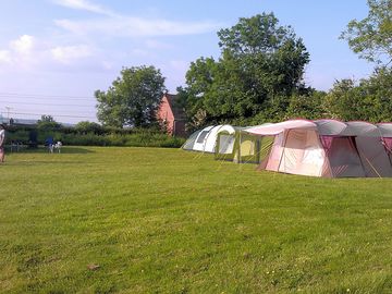 Tents pitched up in the field