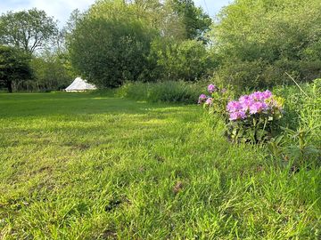 4 birth nearly wild glamping bell tent, lots of space, fire pit