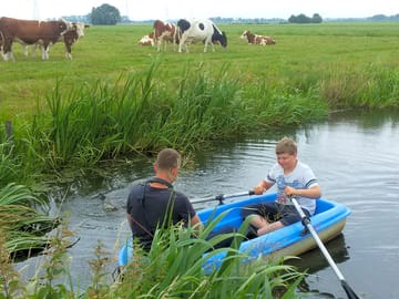 Cows and boat (added by manager 05 Apr 2018)