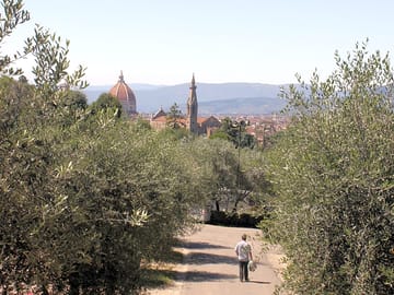 Amazing views of beautiful Florence (added by manager 08 Oct 2015)