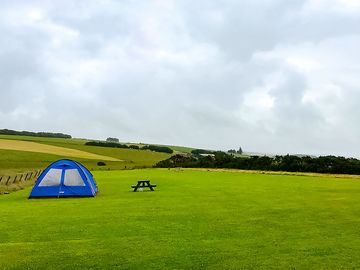 Wee bivvy tents right to roam!