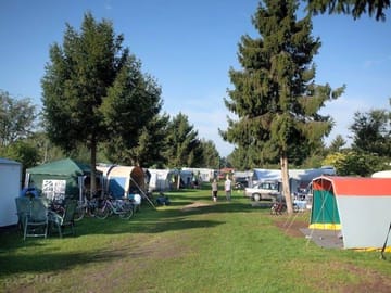 Grass pitches among the trees