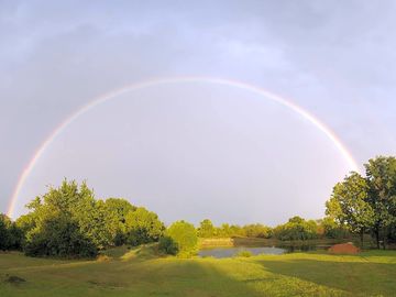 A rainbow appears across the park