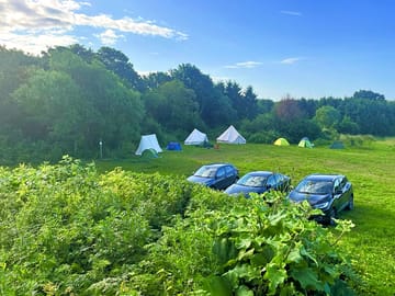 Grass tent field