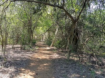 Walking trails from the site (added by manager 29 Nov 2018)