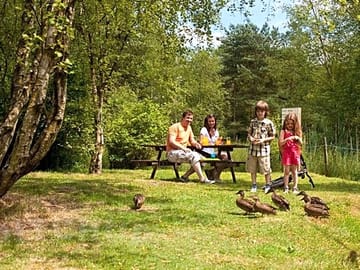 Feeding the Duck at Darwin Forest (added by manager 07 Jan 2011)