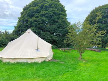 Our lovely bell tent, clean tidy and the added bonus of a log burner! (added by visitor 20 Sep 2021)
