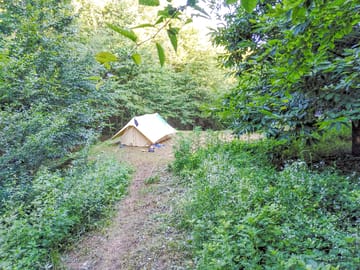 Forest floor tent pitch