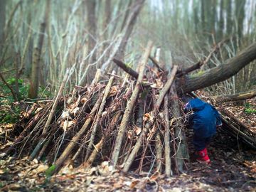 My son inspecting one of the dens and shelters that pop up in the woods. Come and build your own. (added by manager 01 May 2013)