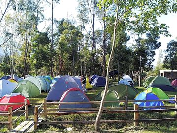 Camping field (added by manager 07 Feb 2019)