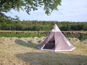 Grassy pitches for all sorts of tents