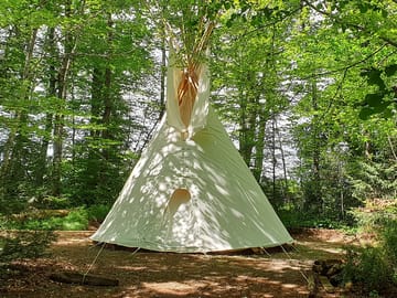 Tipi in the woods