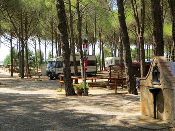 Tent and touring area in the pinewood