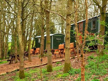 Shepherds huts in our woodlands surrounded by nature