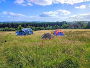 Tents in one of the meadows