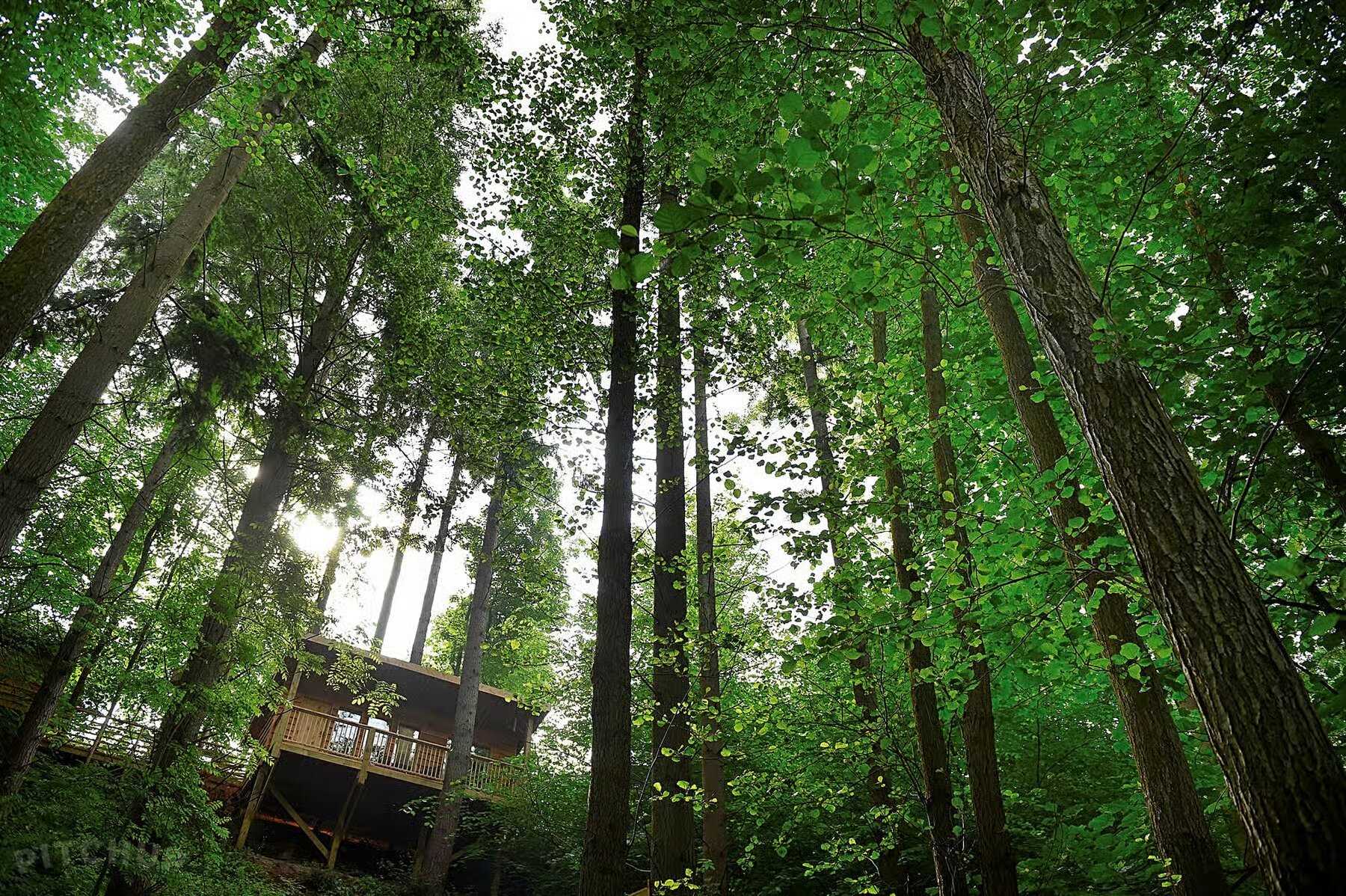 Unusual, high-end pods like treehouses enable you to set your prices higher