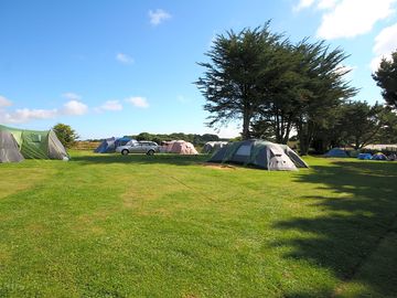 Camping meadow