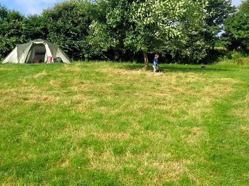 Standard size tent