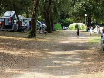 Path through the pitches and trees