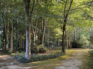 Le parc invite à la balade