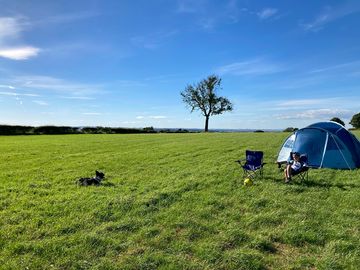 Large flat field with plenty of space between pitches