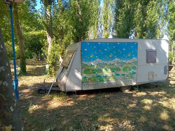 Shaded grass and earth pitch with electric hook-up