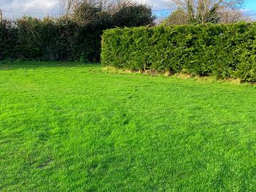 Grass pitches with hedging around