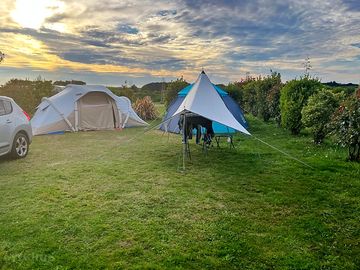 Grass pitches