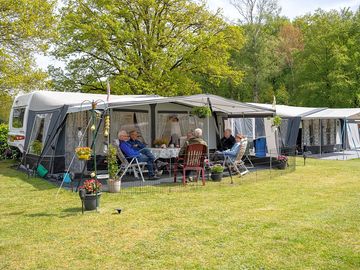 Grass pitches sheltered by trees (added by manager 04 apr 2024)