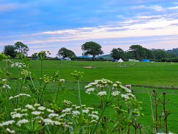 'green' campsite (added by manager 26 may 2024)