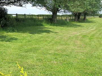 Pitches in the sun