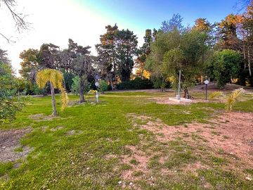 Piazzola con corrente