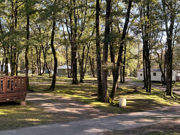 View of the site