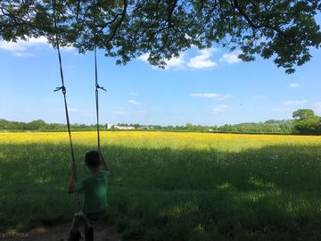 Rope swings in the pitching meadow