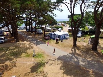 View of the site