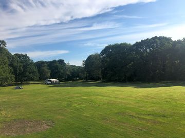 Grass tent pitches
