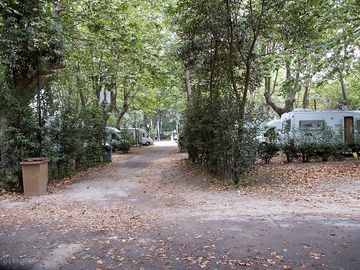 Main site alleyway